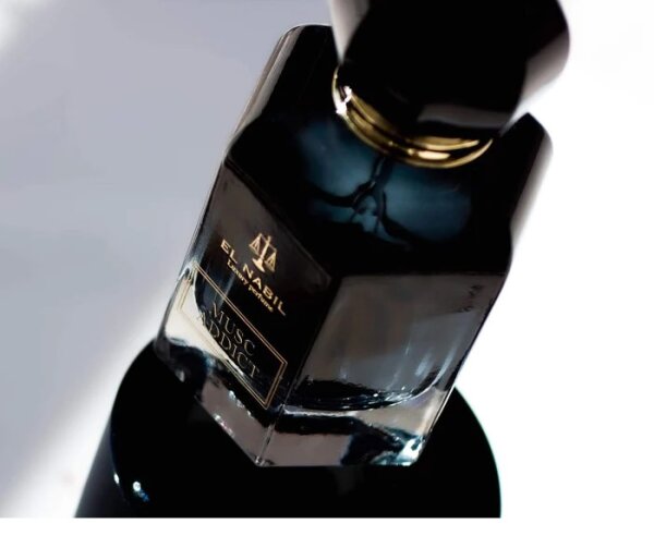 El Nabil Musc Boise Parfümöl Für Herren – 5 Ml Glasflakon | Französischer Duft Mit Holz- & Ledernoten